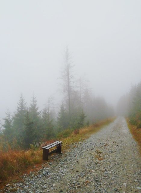 Králický Sněžník - mlha nad Návrším