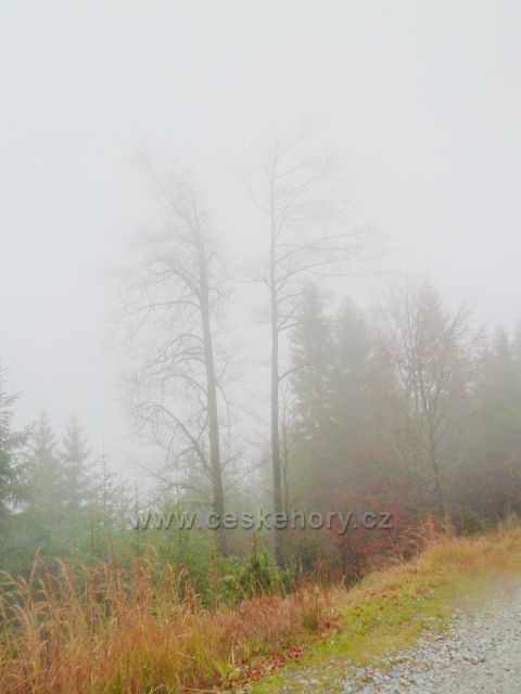 Králický Sněžník - mlha nad Návrším