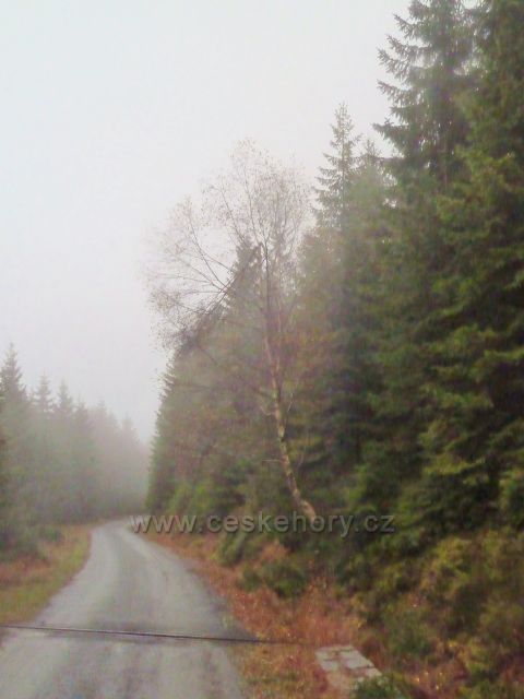 Králický Sněžník - silnička k chatě Návrší změnila svůj povrch na asfaltový