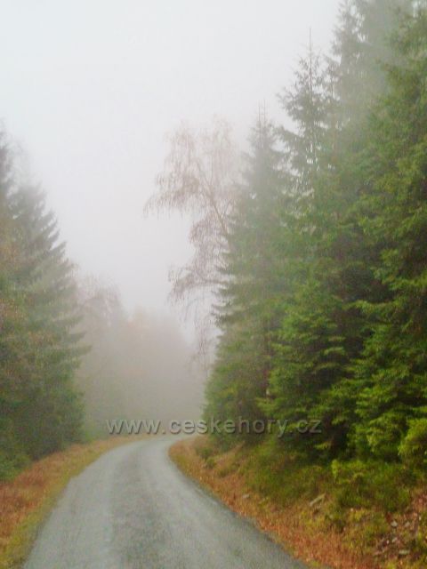 Králický Sněžník - asfaltová silnička k chatě Návrší