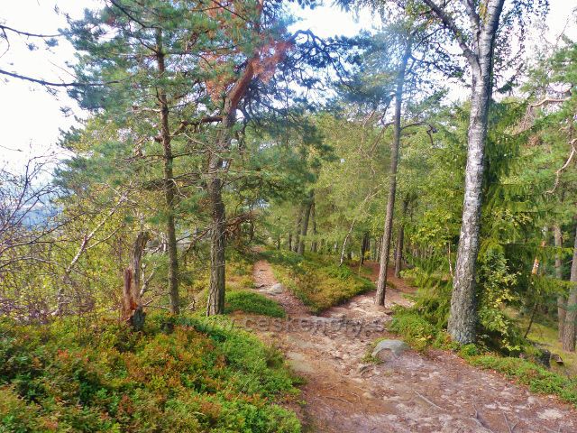 Kozákov - trasa po NS Kozákov po červené TZ k rozcestí Pod Drábovnou