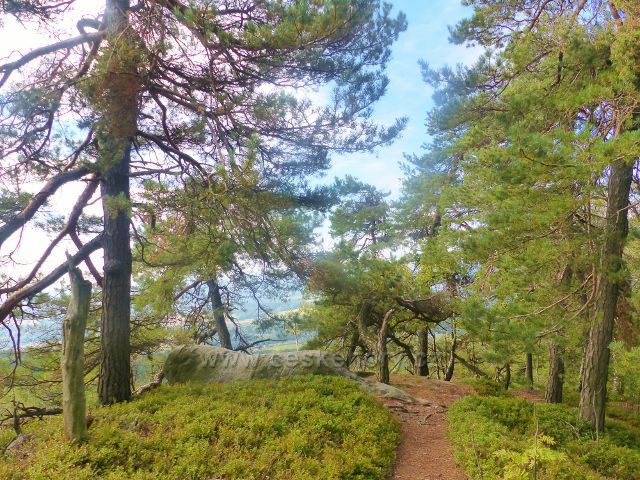 Kozákov - trasa po NS Kozákov po červené TZ k rozcestí Pod Drábovnou