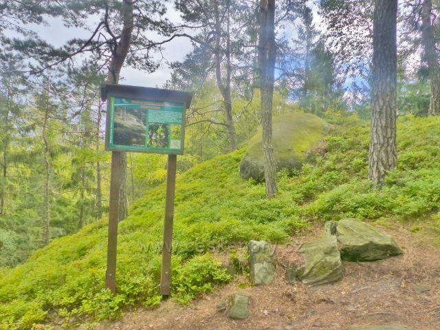 Kozákov - panel NS Kozákov  na trase k rozcestí Pod Drábovnou