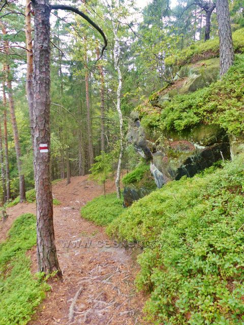 Kozákov - trasa po červené TZ po NS Kozákov pod "Vyhlídkou" nad rozcestím pod Drábovnou