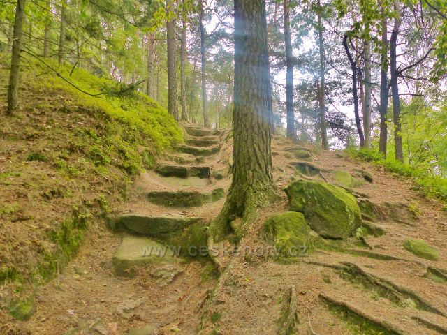 Kozákov - sestup po červené TZ k rozcestí Pod Drábovnou na trase NS Kozákov