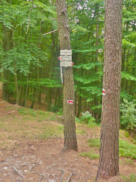 Kozákov - turistický rozcestník na trase po modré a červené TZ "Pod Drábovnou, 554 m.n.m."