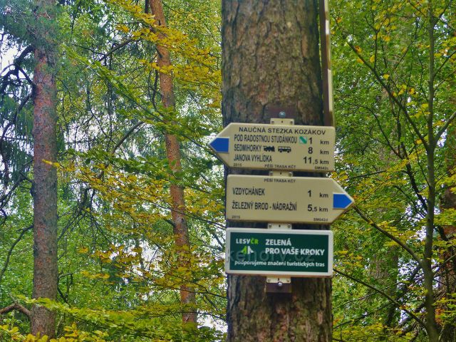 Kozákov - trasa NS Kozákov opouští na rozcestí Pod Drábovnou červenou TZ a pokračuje po modré TZ ve směru k rozcestí Pod Radostnou studánkou.