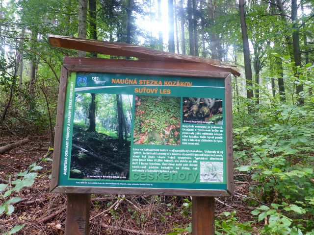Kozákov - informační tabule NS Kozákov "Suťový les na trase po modré TZ k rozcestí Pod Radostnou studánkou