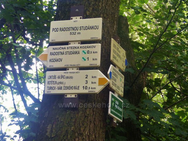Kozákov - turistický rozcestník "Pod Radostnou studánkou, 532 m.n.m." cest vedoucích po žluté a modré TZ