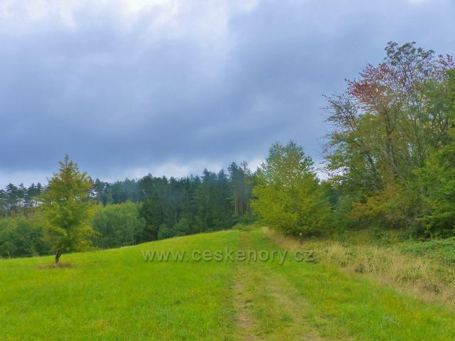 Kozákov - zpětný pohled k lesu z cesty po žluté TZ okrajem pastviny do Loktuše