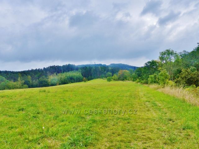 Pastviny nad obcí Loktuše