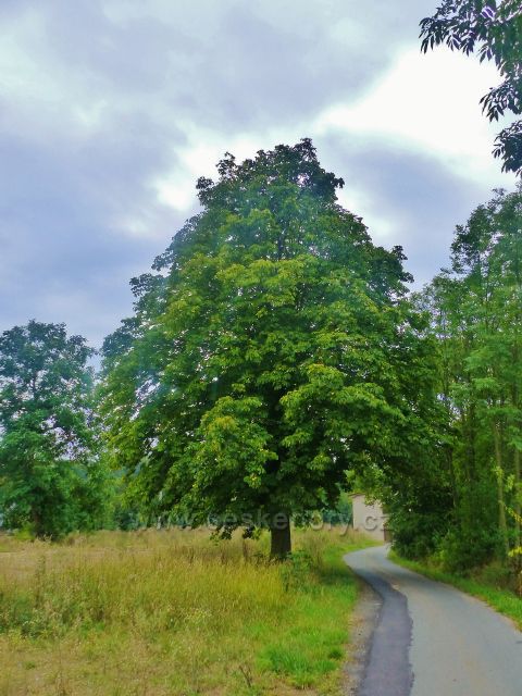 Silnička z Podkabelí do Loktuše