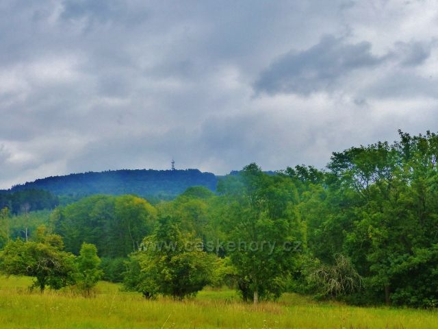 Pohled z obce Loktuše ke Kozákovu