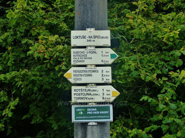 Loktuše - turistický rozcestník "Loktuše- Na Špici(bus.) 340 m.n.m."