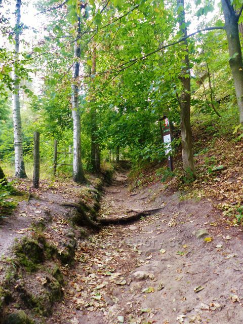 Klokočí - cesta po žluté TZ ke zřícenině skalního hradu Rotštejn