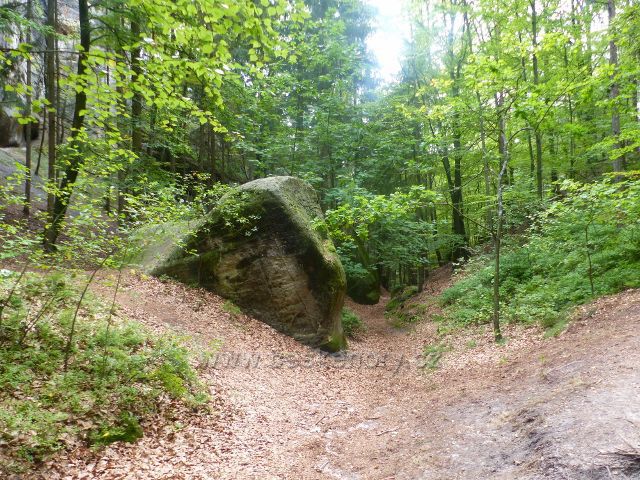 Klokočské skály na trase po žluté TZ
