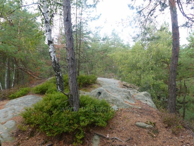 Klokočské skály - hřeben skalní stěny