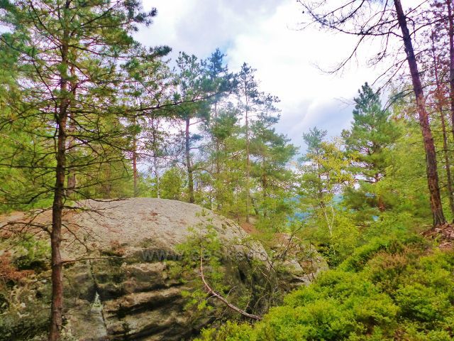 Klokočské skály na trase po žluté TZ po jejich hřebenu