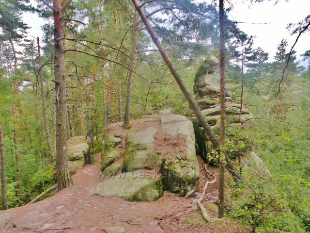 Klokočské skály - trasa po žluté TZ od skalní vyhlídky ke skalní věži Džbán