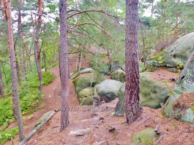 Klokočské skály - trasa po žluté TZ od skalní vyhlídky ke skalní věži Džbán