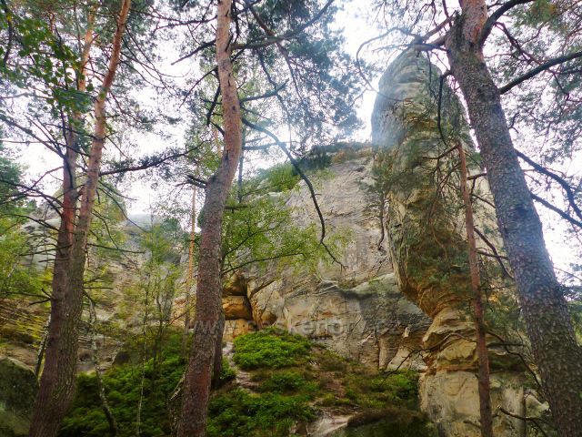 Klokočské skály - v popředí skalní věž Džbán, pohled zdola