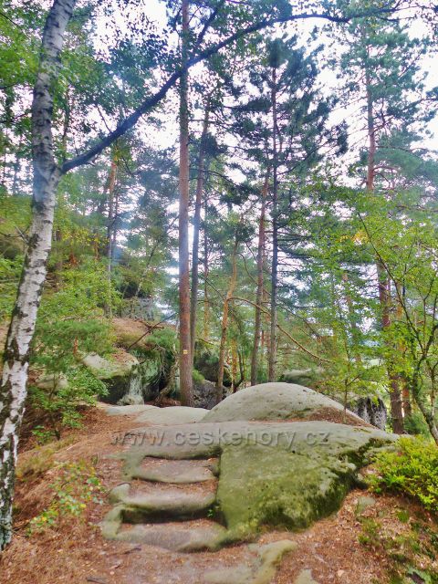 Klokočské skály - nad skalním schodištěm