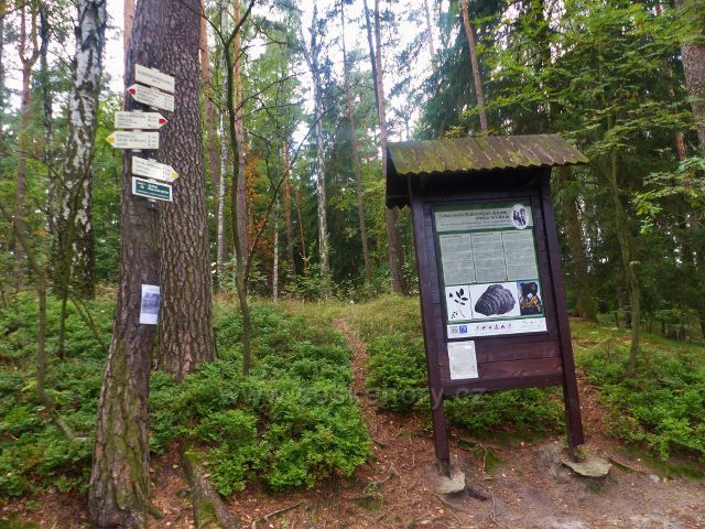 Klokočské skály - turistický rozcestník na rozcestí Klokočské průchody.Vedle něj stojí panel"Tichá stezka Klokočskými skalami,stezka nevidomá"