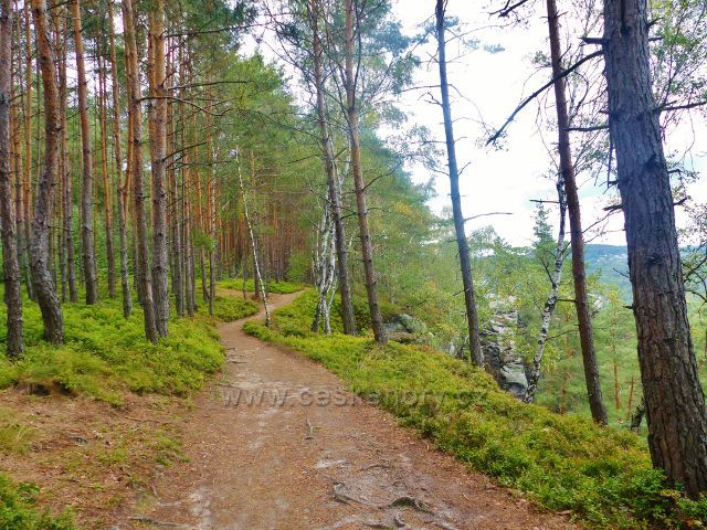 Klokočské skály - cesta po červené TZ na hraně skalního "hřebene"