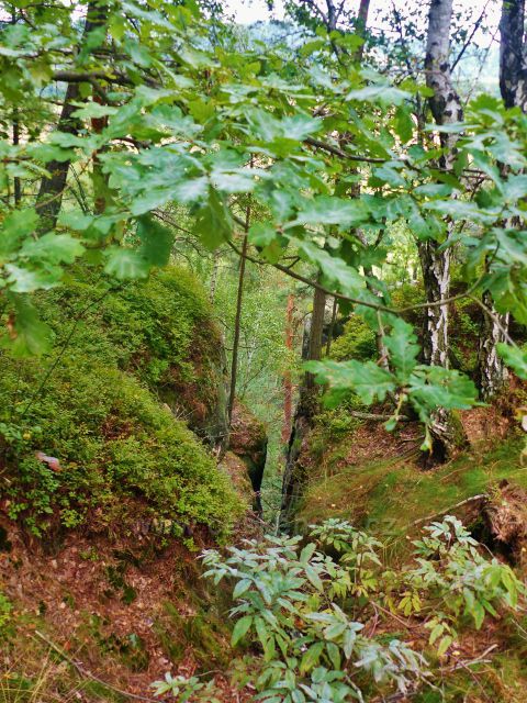 Klokočské skály - pohled do skalní pukliny ve skalní stěně "hřebenu"