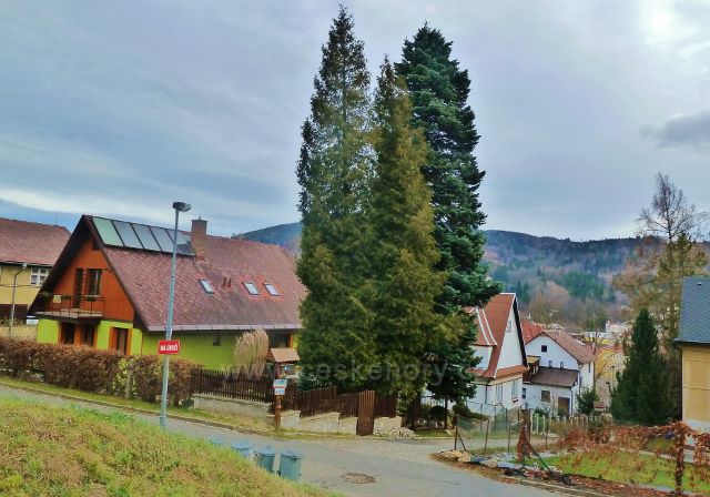 Jeseník - rozcestí silniček "Na Úbočí"