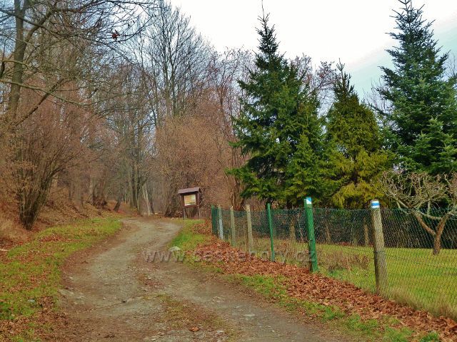 Jeseník, Muzikantská stezka - stezku provází modré značení a je prakticky pokračováním ulice Na Úbočí