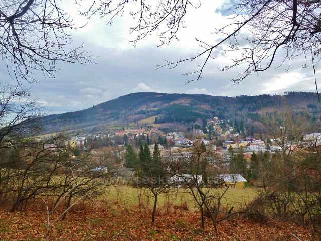 Jeseník,Muzikantská stezka - pohled ze stezky na Zlatý chlum a vilovou čtvrt na jeho úpatí (ulice Josefa Hory a ulice Skupova)