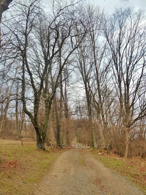 Jeseník- střední část Muzikantské stezky