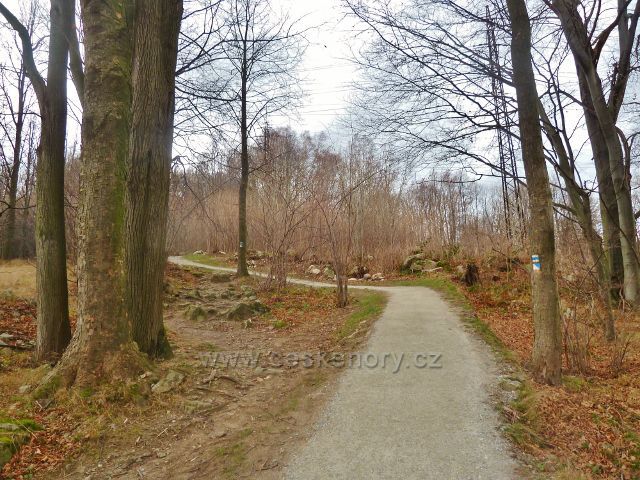 Jeseník,Muzikantská stezka - nově upravená část stezky pod elektrovodem