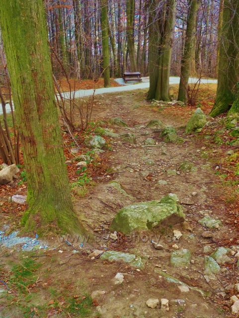 Jeseník, Muzikantská stezka - pohled na část  původní trasy stezky