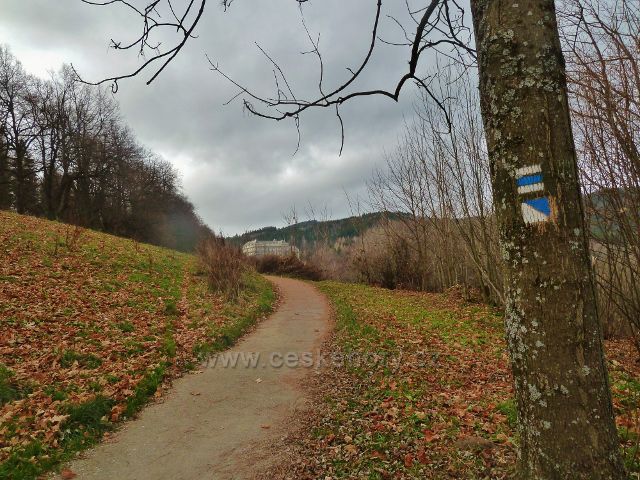 Jeseník,Muzikantská stezka - stezka pod výhledovým místem na Ripperově promenádě.Vpředu vykukuje Priessnitzovo sanatorium