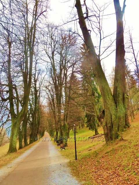 Lázně Jeseník - celkový pohled na levou část promenády od  Vídeňské kavárny