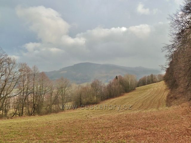 Lázně Jeseník - pohled na úbočí vrchu Kupa.Na obzoru se rýsuje  Zlatý chlum