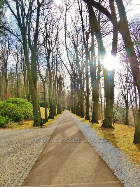 Lázně Jeseník - pravá část Ripperovy promenády