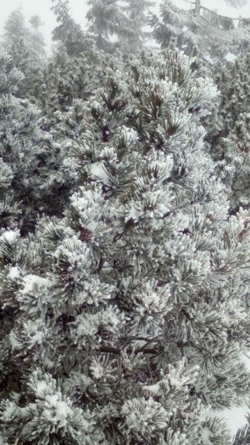 cesta ČP přátelství