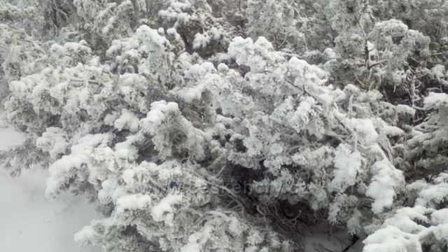 cesta ČP přátelstí