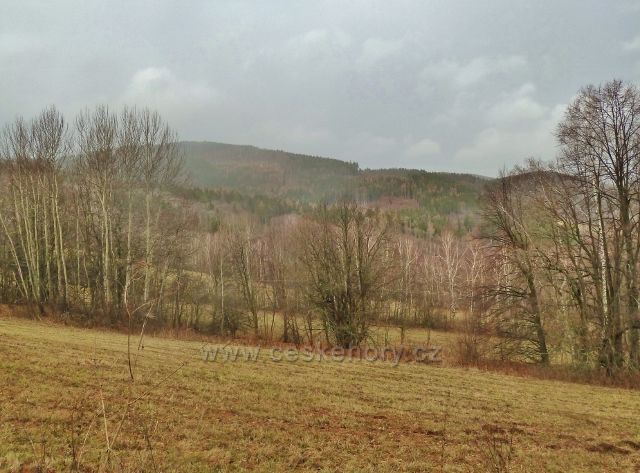 Lázně Jeseník - pohled z Ripperovy promenády k e Studničnímu vrchu (992 m.n.m.)