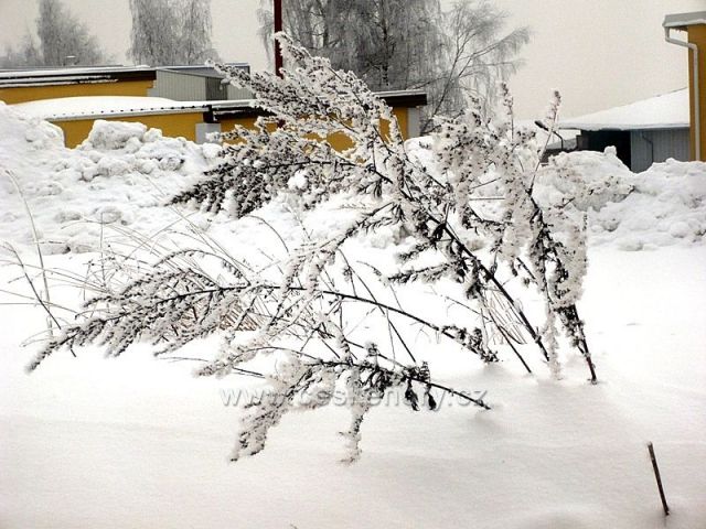 Zima na Vysočině