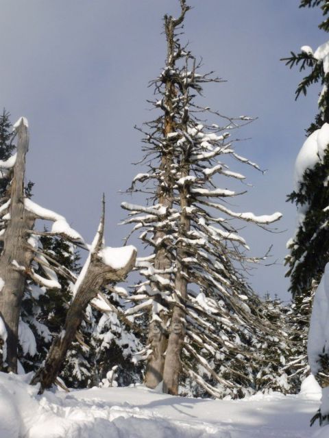 31,12,2019 výšlap na Praděd