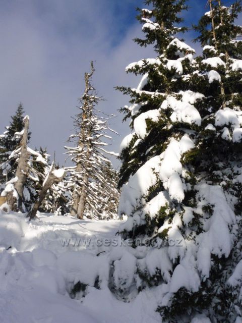 31,12,2019 výšlap na Praděd