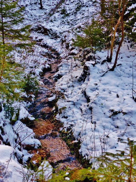 Králíky - Plynárenský potok tvoří hranici mezi Lískovcem a Mariánským kopcem