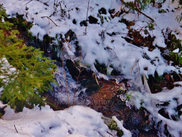Králíky - Plynárenský potok v zimním hávu