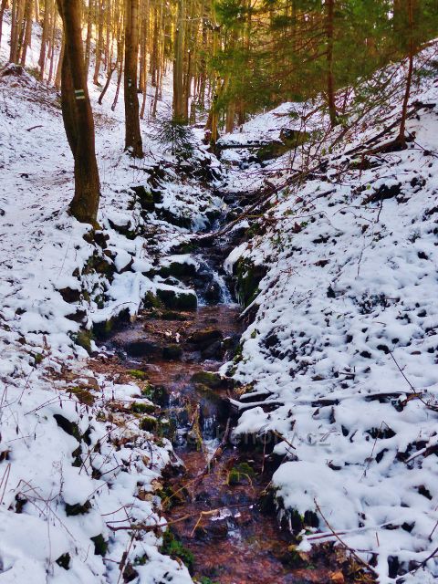 Králíky - Plynárenský potok pod Mariánským pramenem