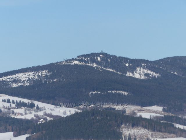 Králíky,Mariánský kopec -pohled k rozhledně na vrchu Klepý (1144 m.n.m.)