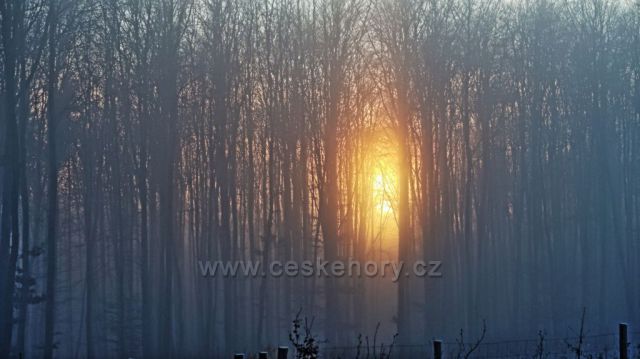 Odpolední procházka Valšovická jezírka